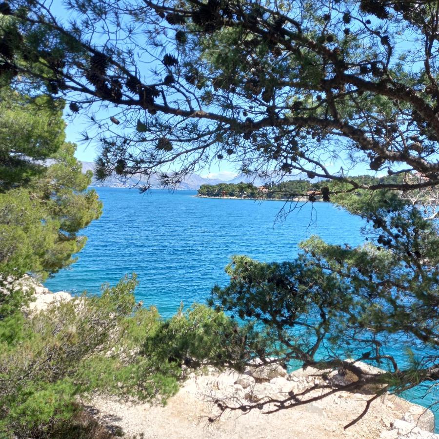 Kuca Za Odmor Skalina - Sea View Villa Splitska Kültér fotó