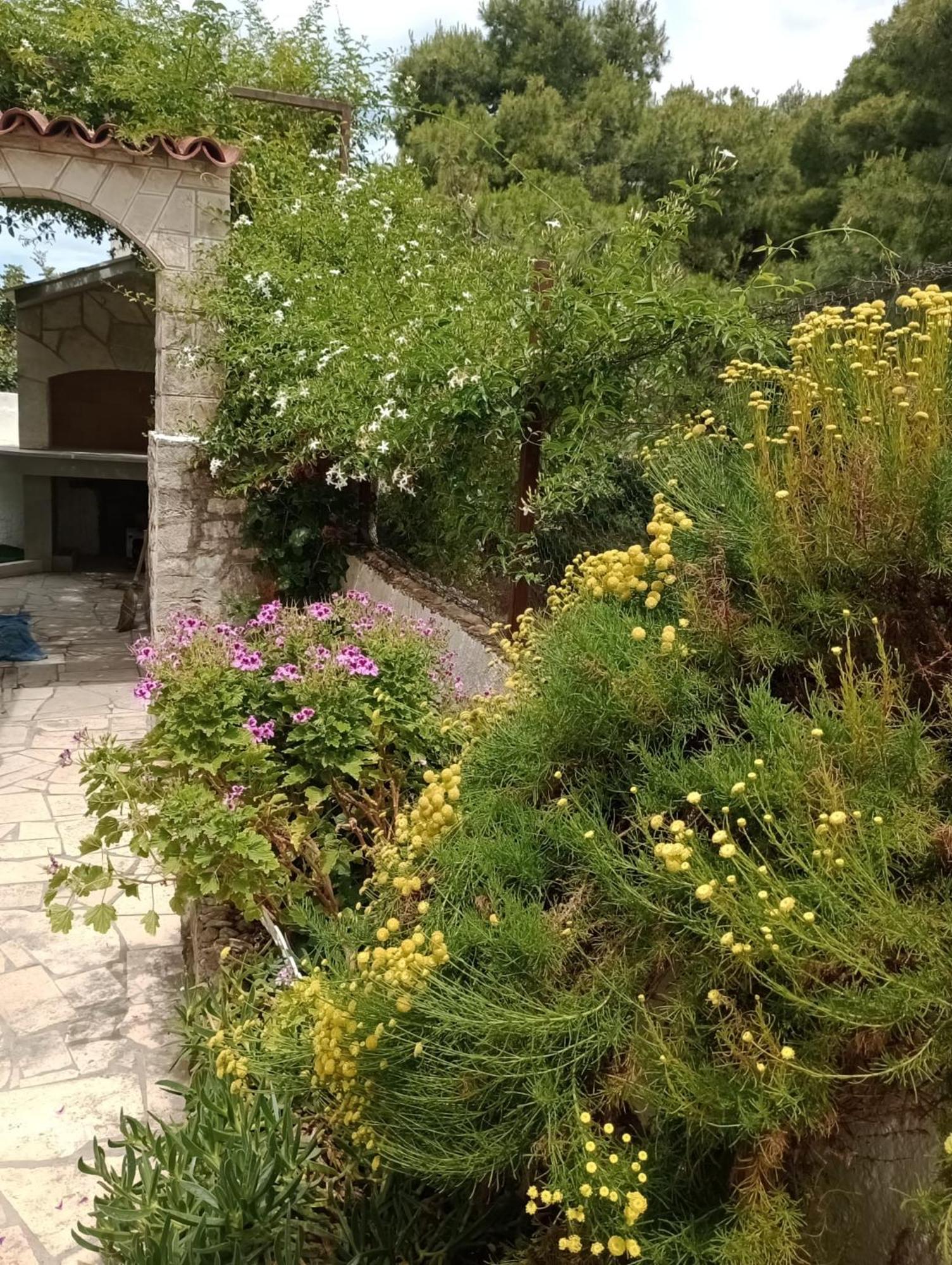 Kuca Za Odmor Skalina - Sea View Villa Splitska Szoba fotó